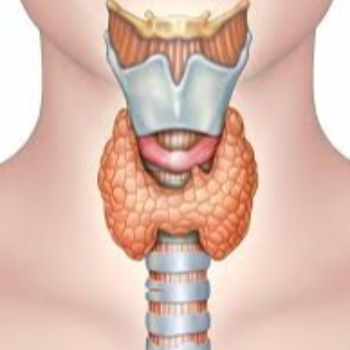 Rekha's Journey: Transforming Health with Takshvi Diagnostic Centre's Blood Test Services