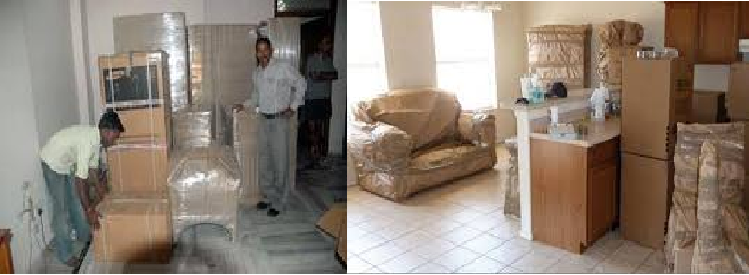 Simplifying Moves: How Usha Packers & Movers Transformed Priya's Relocation Experience | Usha Packers & Movers
