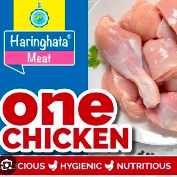 The Perfect Chicken: Solving Your Culinary Challenges with Ease