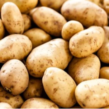 How Jagapathy Enterprises' Potatoes Transformed Anjali's Culinary Experience