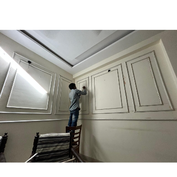 Transform Your Home with Expert Wall Bidding Services
