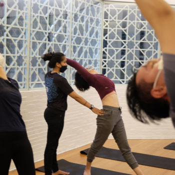 Embrace Harmony: How Hatha Yoga Transforms Lives | Alankar Yoga and Wellness