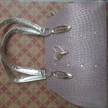 Embrace Elegance: The Perfect Ladies Handbag for Every Indian Woman