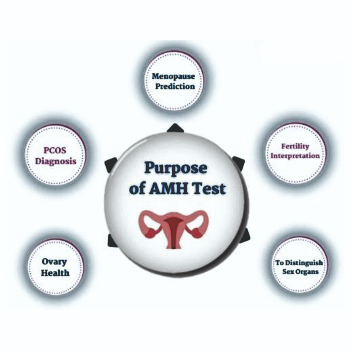 Understanding AMH Testing: A Lifeline for Women Facing Fertility Challenges | Golwilkar metropolis