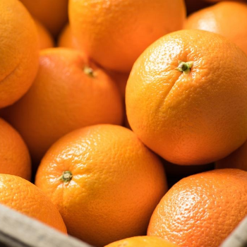 The Sweet Solution to Anjali's Busy Life: Juicy Oranges