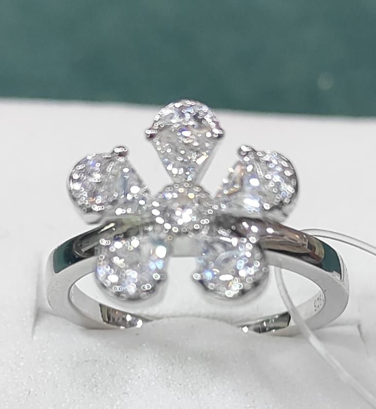 The Silver Spark: A Tale of Elegance and Empowerment