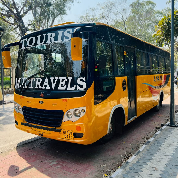 Journey Beyond Comfort: The Ideal Travel Solution for Large Groups