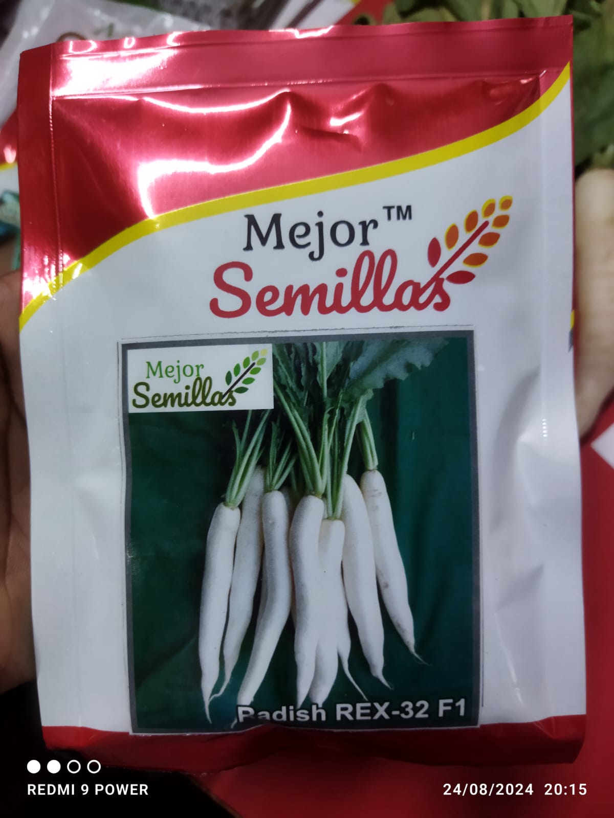 Cultivating Success: How Radish Rex 32 F1 Transforms Indian Farms