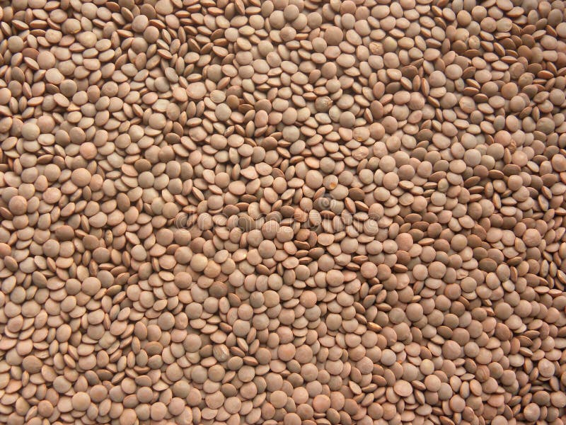 Transforming Meals and Lives: The Incredible Impact of Masoor Dal