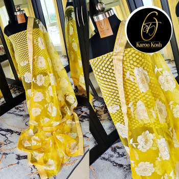 Unveiling the Elegance: The Story Behind the Embossed Tissue Organza Saree | BRANDIOSE CONSULTING | 456, Dwarir Rd, Chowhati Battola Bazar, Rajpur, Kolkata, West Bengal 700151
