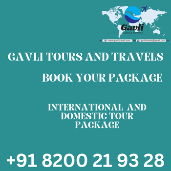 Discover the World with Gavali: Tailored Travel Experiences for Every Adventurer | GAVALI TOUR AND TRAVELS