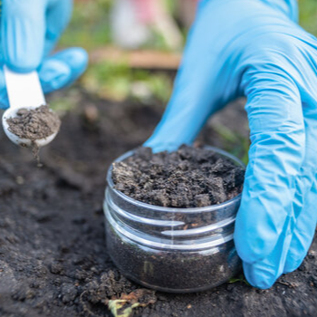 Empowering Indian Farmers: The Transformative Power of Soil Testing