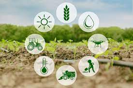 Transforming Dreams into Reality: How Agricultural Property Investment Empowers Indian Farmers