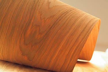 Transforming Spaces: How Veneers Solved Ravi's Interior Design Dilemma | Sri Sri Plywoods and Hardware