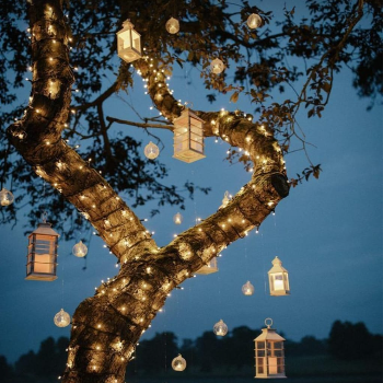 Transforming Dreams into Reality: The Art of Event Design and Conceptualization