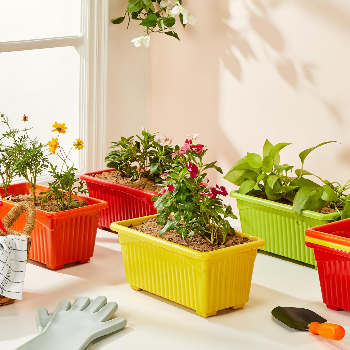Transform Your Space: How Designer Plastic Plant Pots Breathe Life into Indian Homes