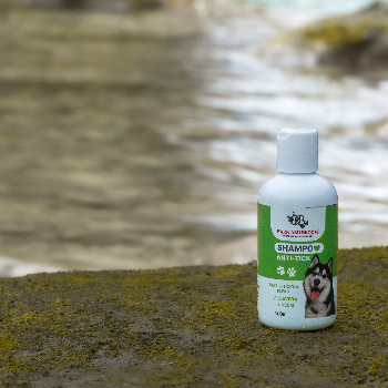 How Bark and Broom Anti-Tick Shampoo Transformed Priya's Pet Care Routine