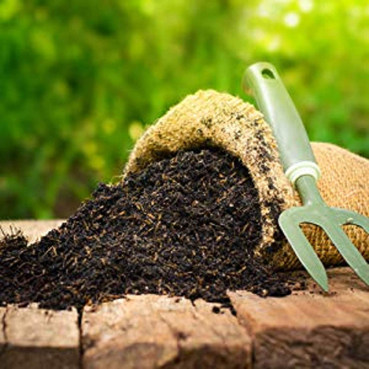 Transform Your Garden into a Green Paradise with Mahalaxmi Nursery | Mahalaxmi Nursery