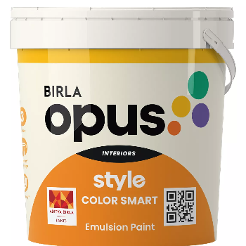 Transform Your Home with Birla Opus Paints: A Journey from Drab to Fab