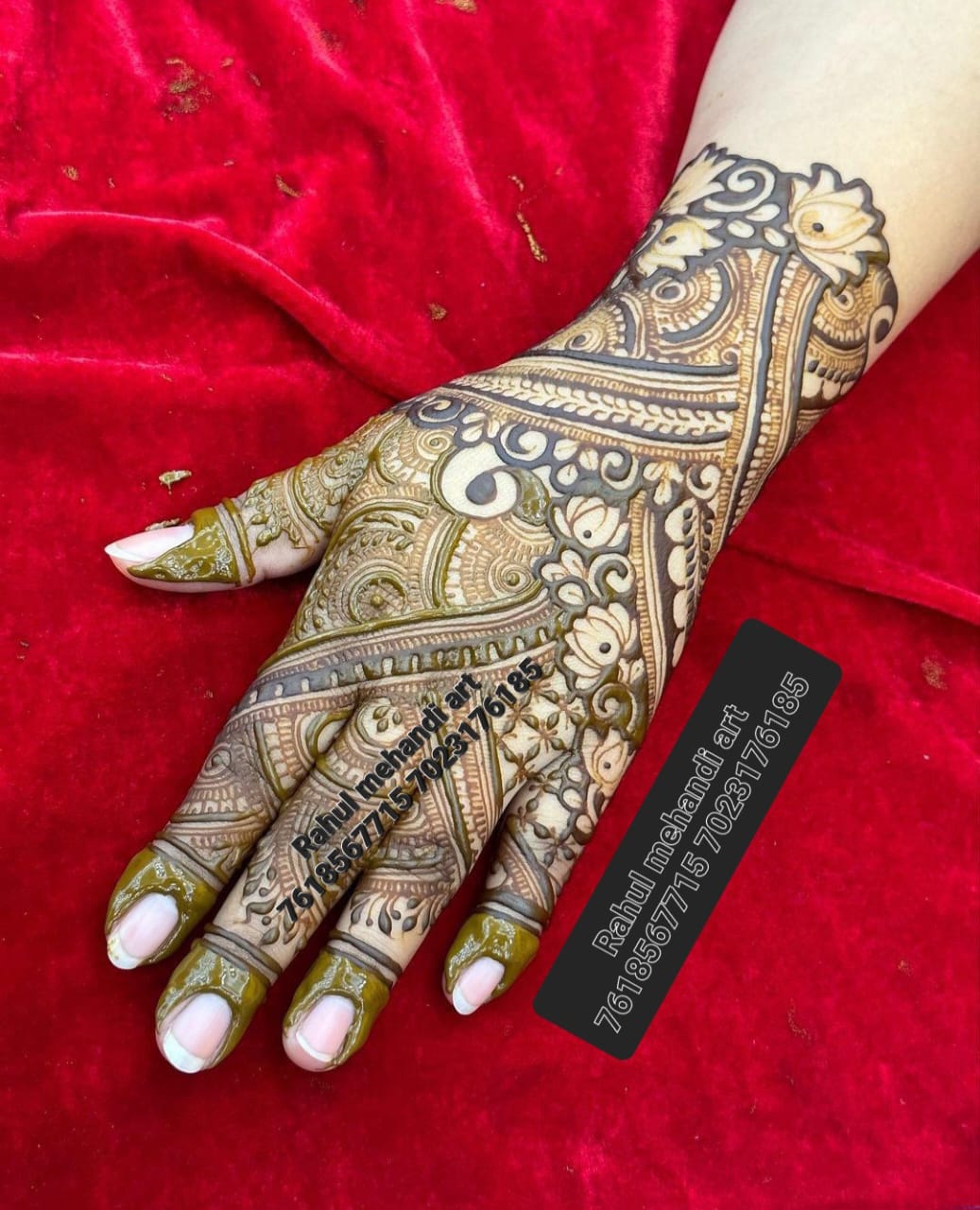 Capturing Celebrations: Unveiling the Art of Designer Mehndi in Jaipur | Rahul Mehandi Artist