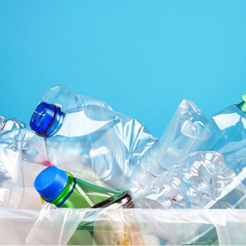 Transforming Waste into Wealth: The Journey of Bhangarwalaa's Plastic Service | BHANGARWALAA