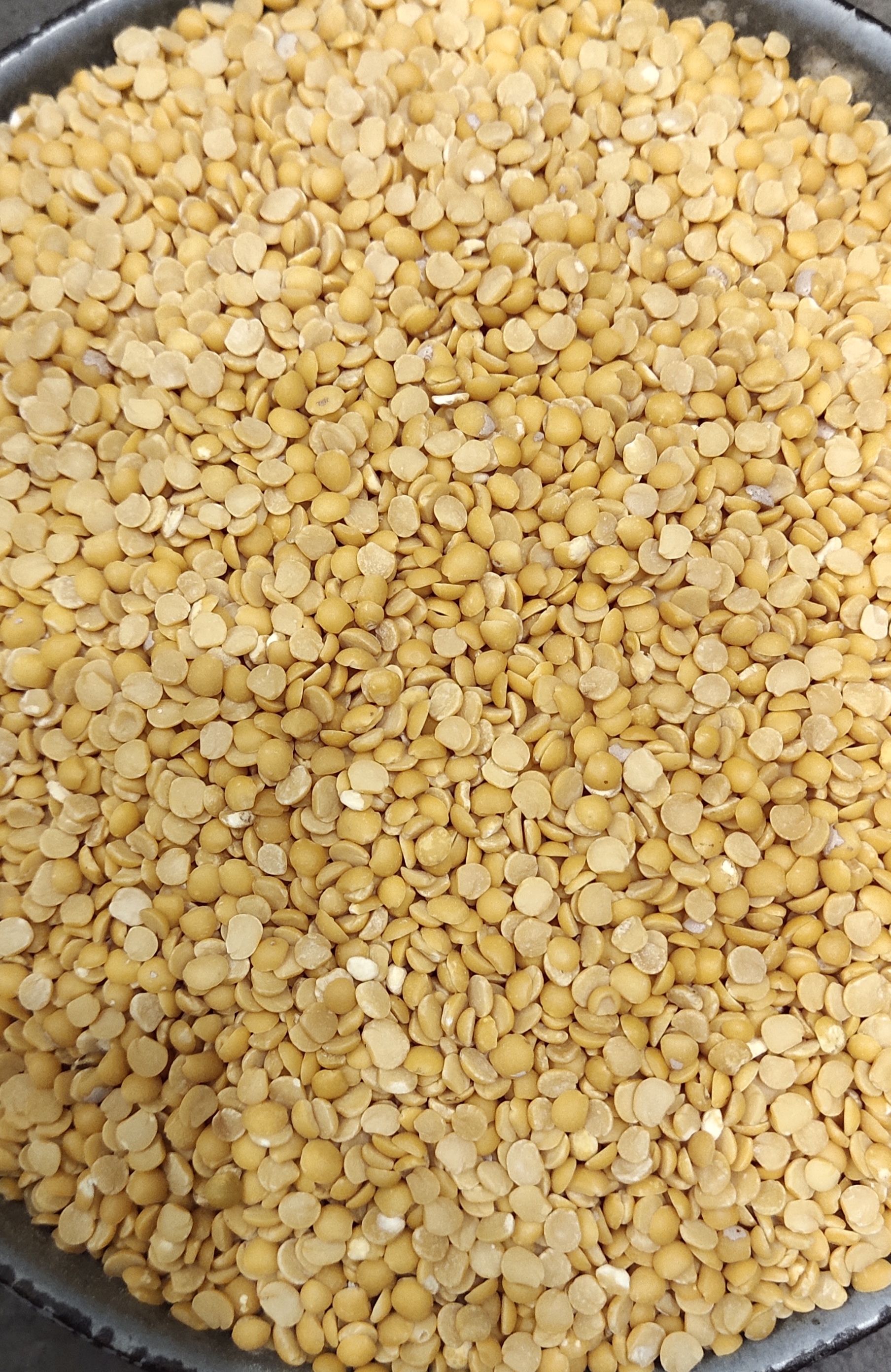 The Heart of Indian Kitchens: Solving Meal Dilemmas with Daal | JAI KISHAN YADAV