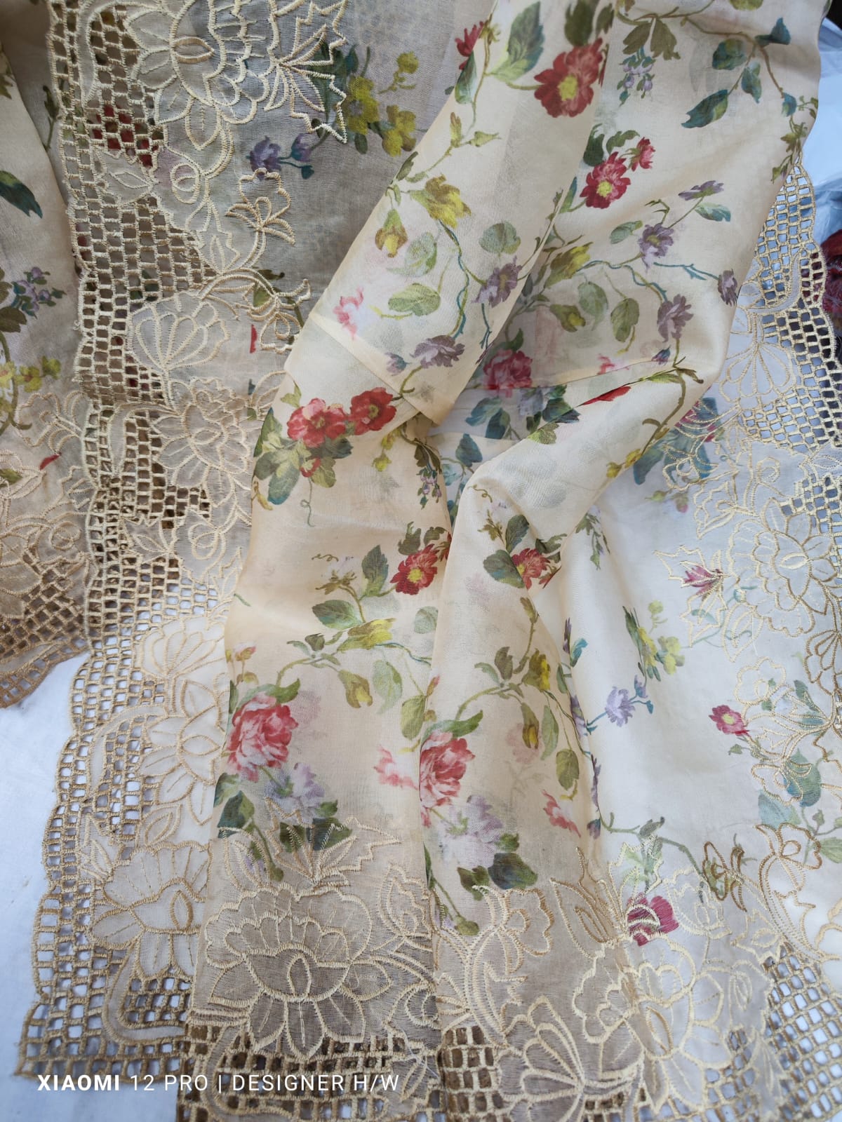 The Transformation of Ananya: Elevating Elegance with Digital Organza Silk | Swastika Collections