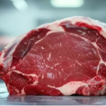 From Farm to Table: How Premium Beef Meat Became a Staple in Rajeev’s Kitchen | BISMIMEET STALL