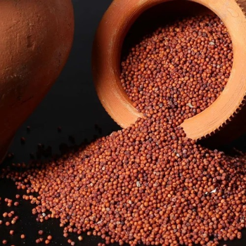The Secret to Satisfying Meals: Discover the Magic of Kepai Rice | NACHYAR SUPER MARKET