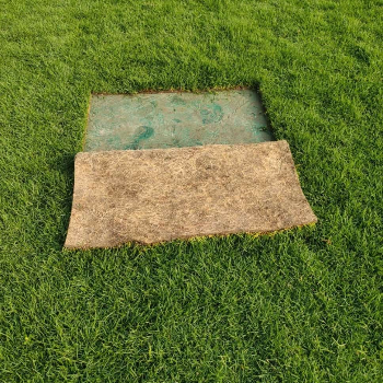 Transforming Spaces: How Taj Nursery Lawn Grass Revitalized Anil’s Garden | TAJ NURSERY