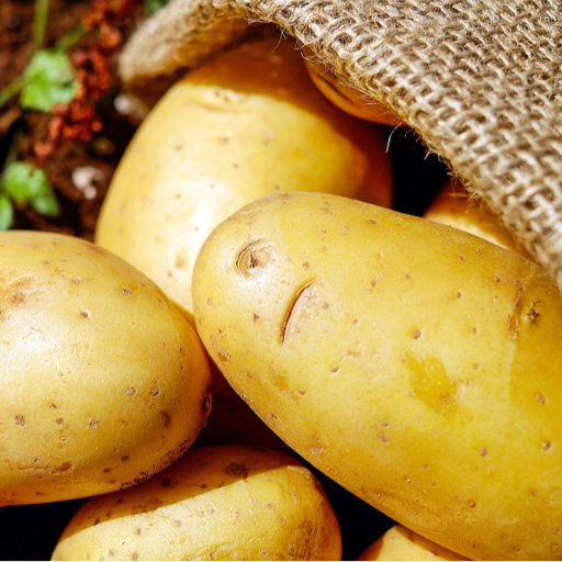 From Farm to Family: How Potatoes Transform Small Businesses in India | SAM AND CO WHOLESALE AND RETAIL SHOP