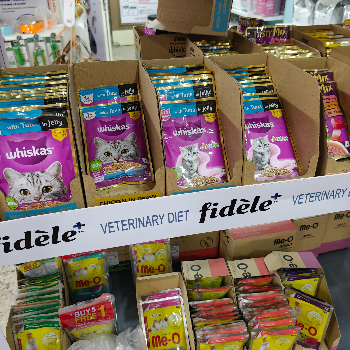 Nurturing Your Feline Friend: How Whiskas Wet Food Transforms Cat Care | The Paws Avenue - Pet Care Clinic ( New Address )