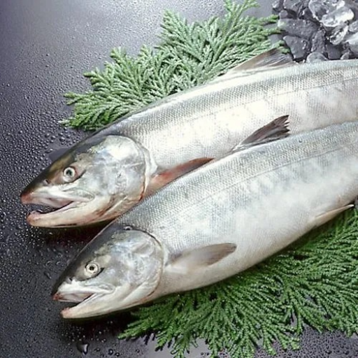 Discover the Perfect Salmon: A Healthy Choice for Modern Indian Families | BJS FISH COMPNY