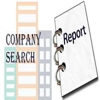 Unlocking Opportunities: How a ROC Search Report Transforms Business Dreams into Reality | ASHISH MAHAWAR AND ASSOCIATES