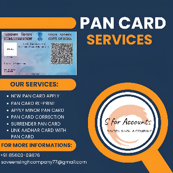 Reimagine Simplicity: How Re-Printing a PAN Card Solved Meera's Tax-Time Dilemma | SAVEEN SINGH AND COMPANY