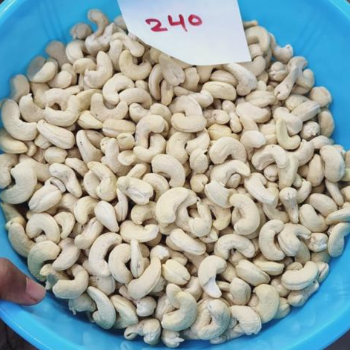 The Nutty Solution: How Cashew 240 Transforms Lives in India | SRI RAM CORPORATION