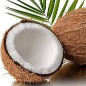 Embracing Simplicity: How Coconut Products Transform Lives | N BOX