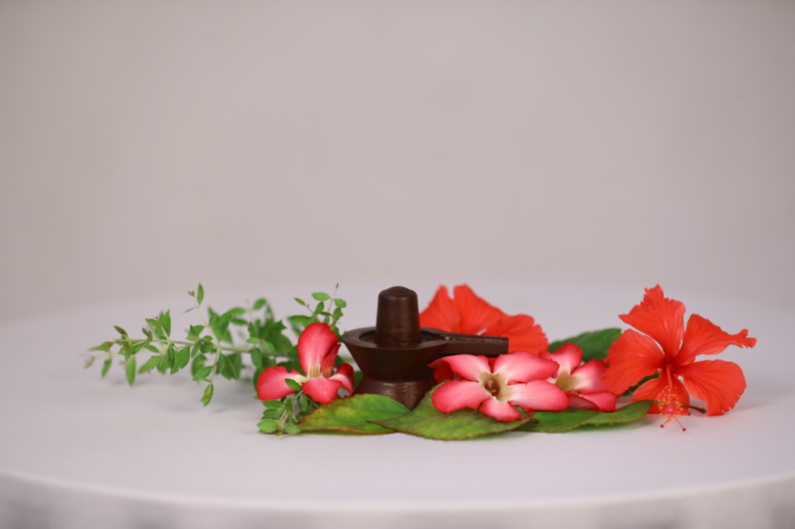 Embrace Wellness: Transform Your Life with Navapashanam Shivlingam | BOGAR SIDDHA PEEDAM