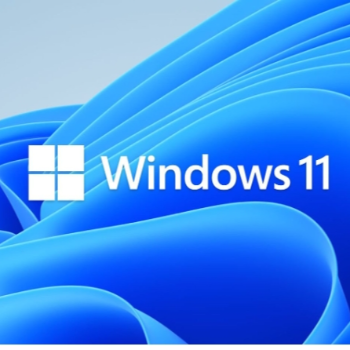 Unlocking Success: How Windows 11 Professional Transforms Indian Entrepreneurs | UMA ENTERPRISE