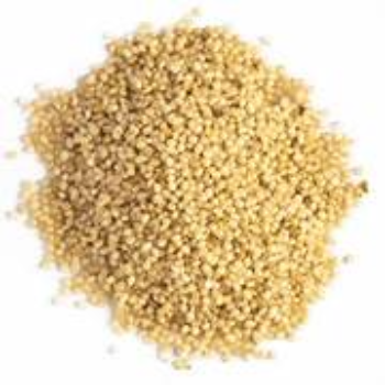 Embrace Wellness with Samalu: The Little Millet Making a Big Impact | WELCOME SUPER MARKET