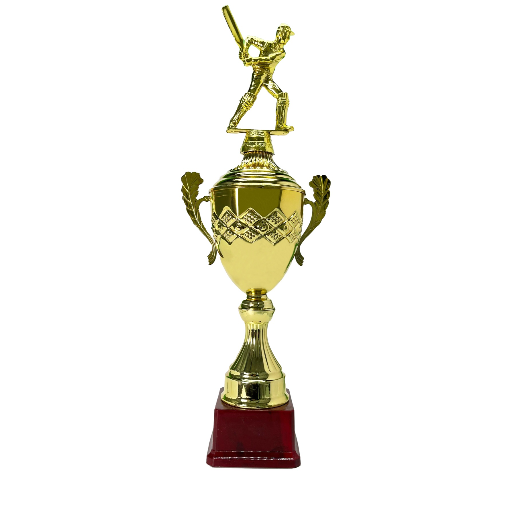 The Trophy That Inspires: Celebrating Cricket's Unsung Heroes | VIJAY TROPHIES