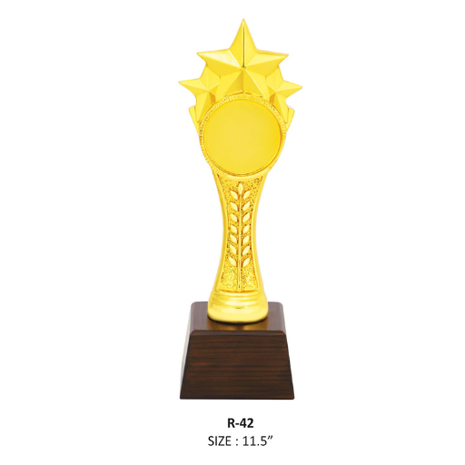 Celebrating Achievement: How the Right Trophy Transforms Recognition | VIJAY TROPHIES