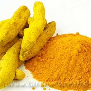 The Golden Spice: Transforming Kitchens and Lives with Turmeric Powder | VIJAYA RICE MILL