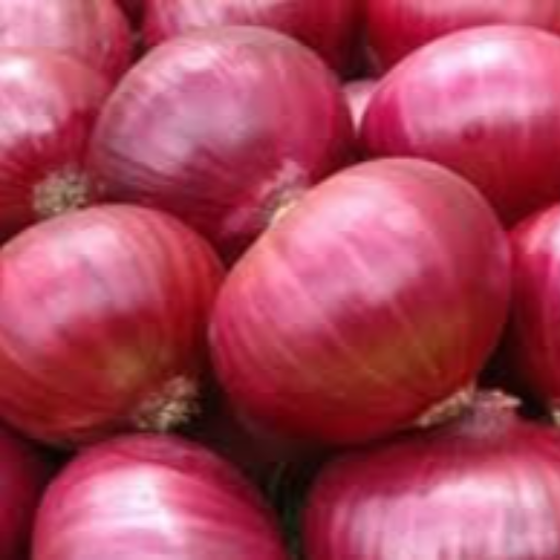 Embracing Freshness: How Onions Transform Lives and Kitchens | SAM AND CO WHOLESALE AND RETAIL SHOP