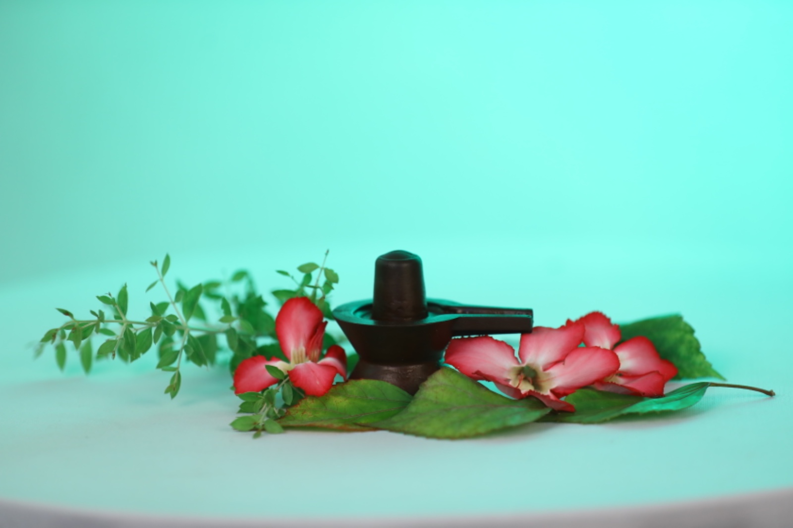 Embracing Serenity with Navapashanam Shivlingam: A Journey of Spiritual Transformation | BOGAR SIDDHA PEEDAM