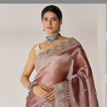 Discover the Perfect Saree for the Modern Indian Woman | AAHID JARI WORKS