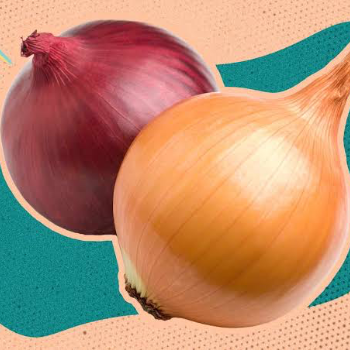 The Savvy Shopper: How Onions Transformed Arjun's Kitchen and Budget | YASSAR FRUIT AND VEGETABLE