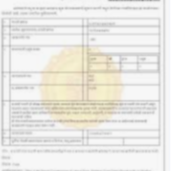 Novelty Super Store | Bussines licencse