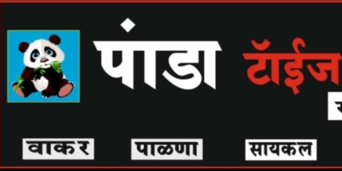 Banner PANDA TOYS AND GIFTS