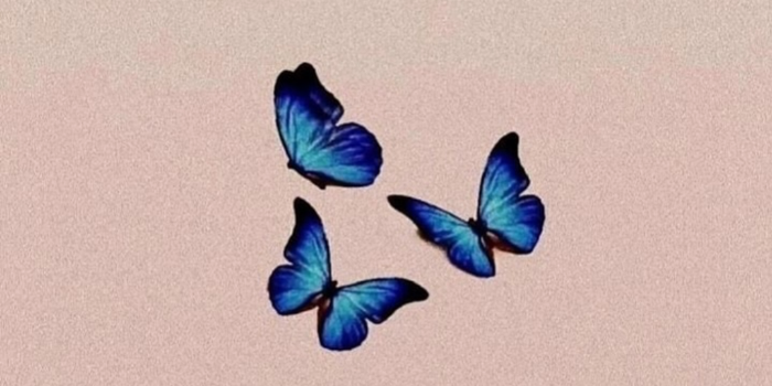 Banner NS HARDWARE STORE